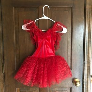 Velvet and lace tutu costume